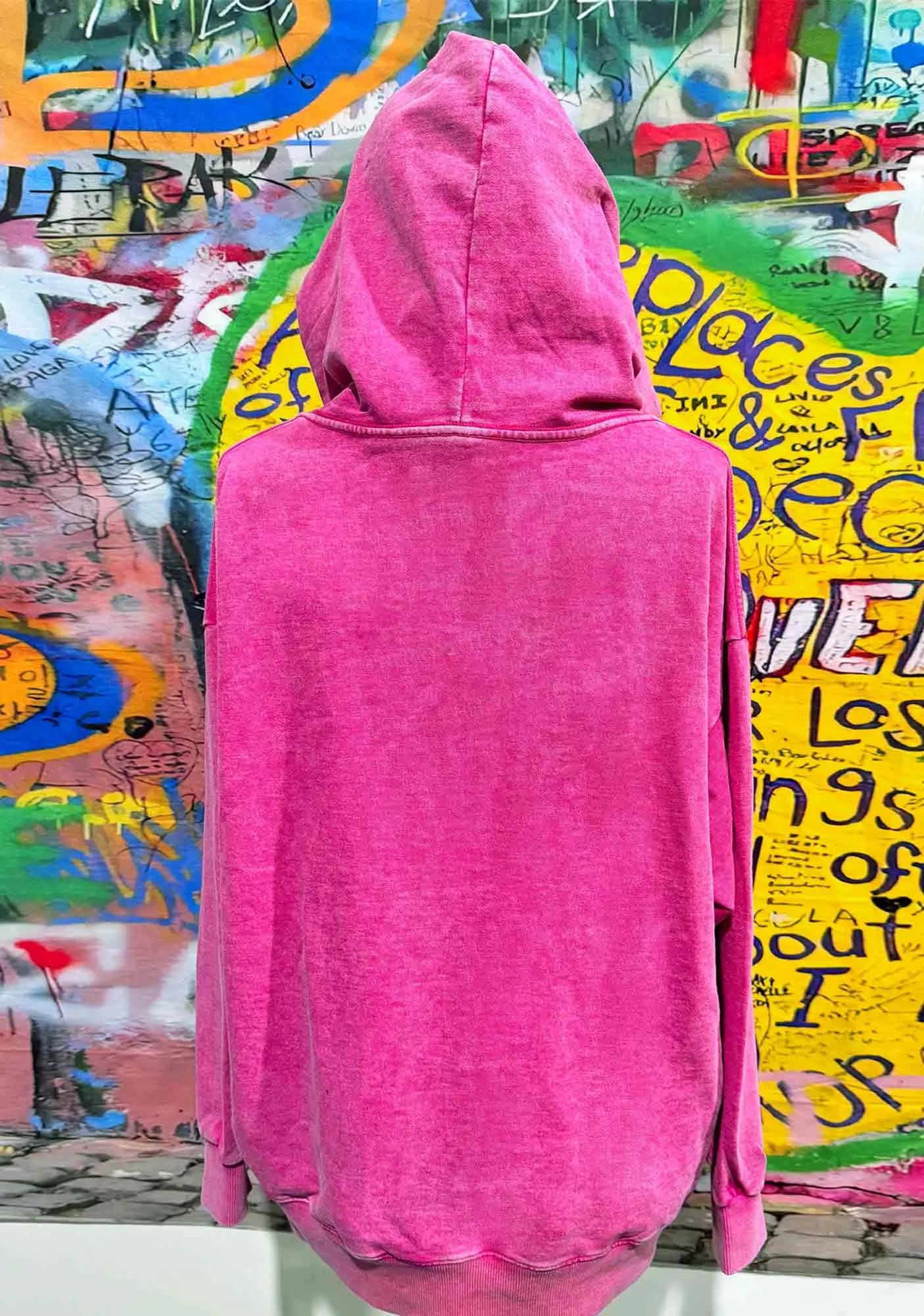 Alpha Male Y2K Washed Hoodie Cherrykitten