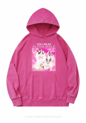 Alpha Male Y2K Washed Hoodie Cherrykitten