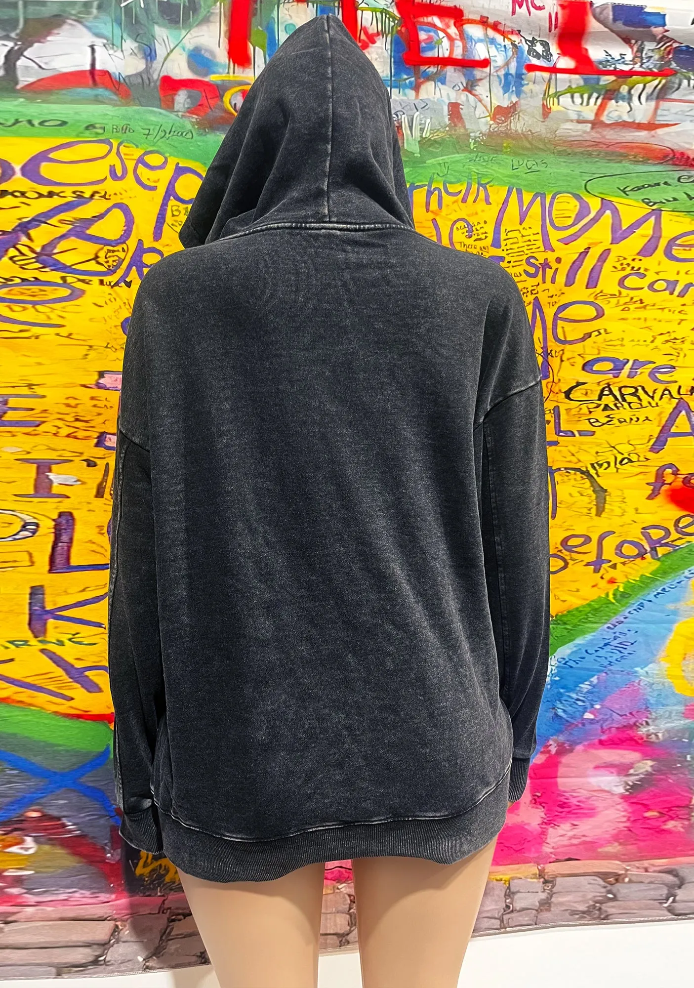 Alpha Male Y2K Washed Hoodie Cherrykitten