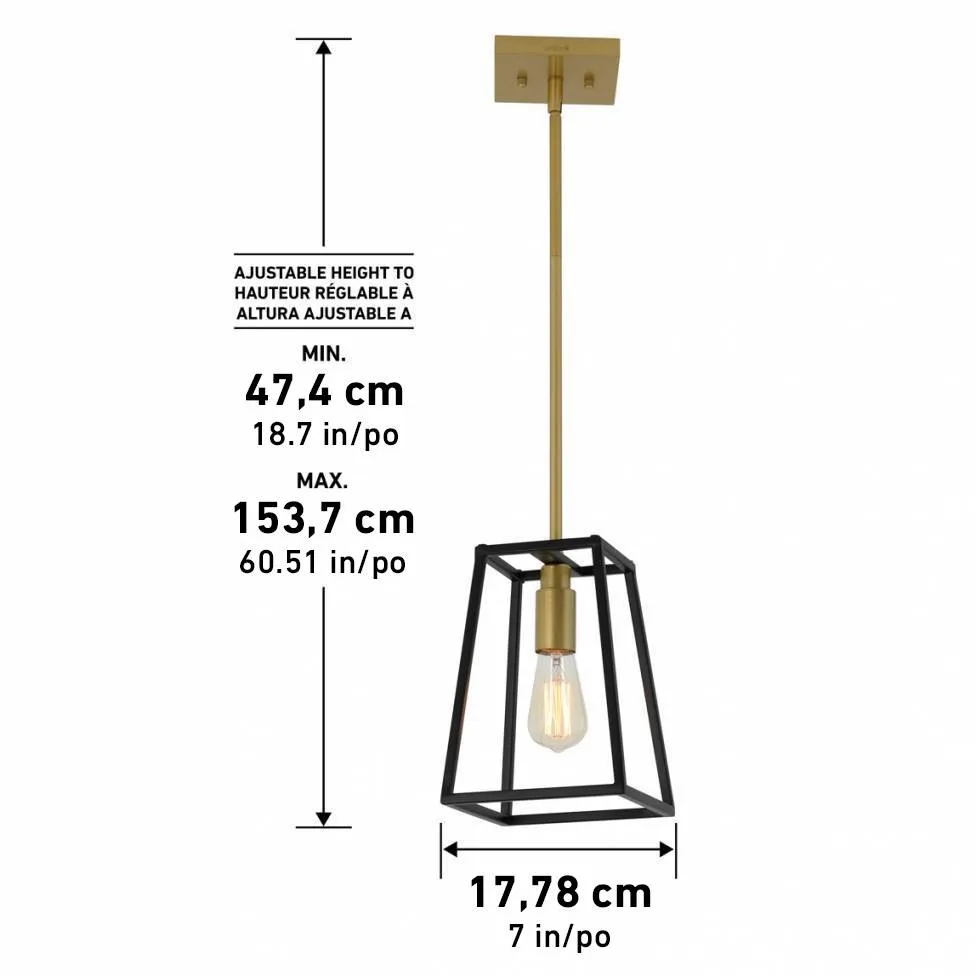 Carter Pendant Light Black and Gold