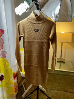 Day & Night Turtle  Neck Dress With Front Logo