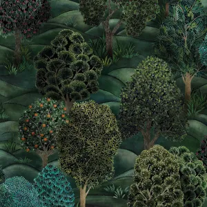 Forest