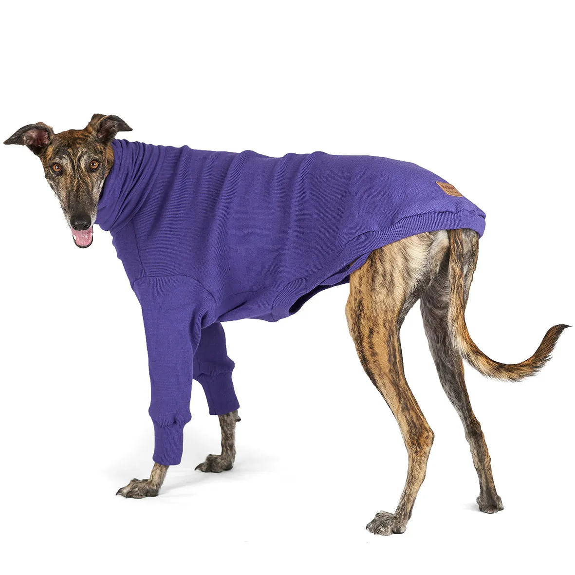 Greyhound Jumper - Sundown