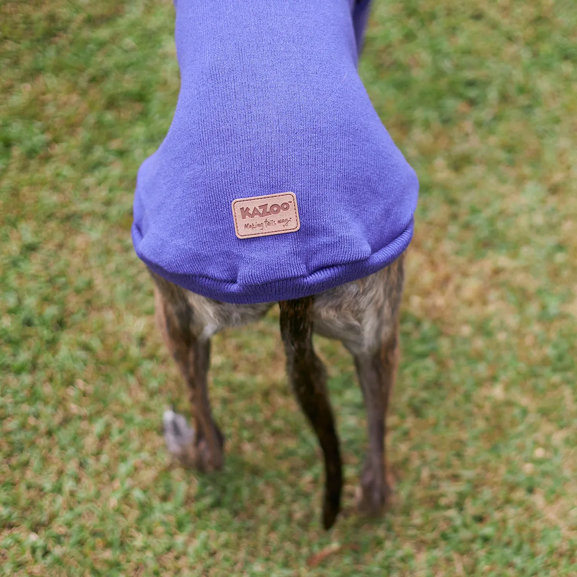 Greyhound Jumper - Sundown