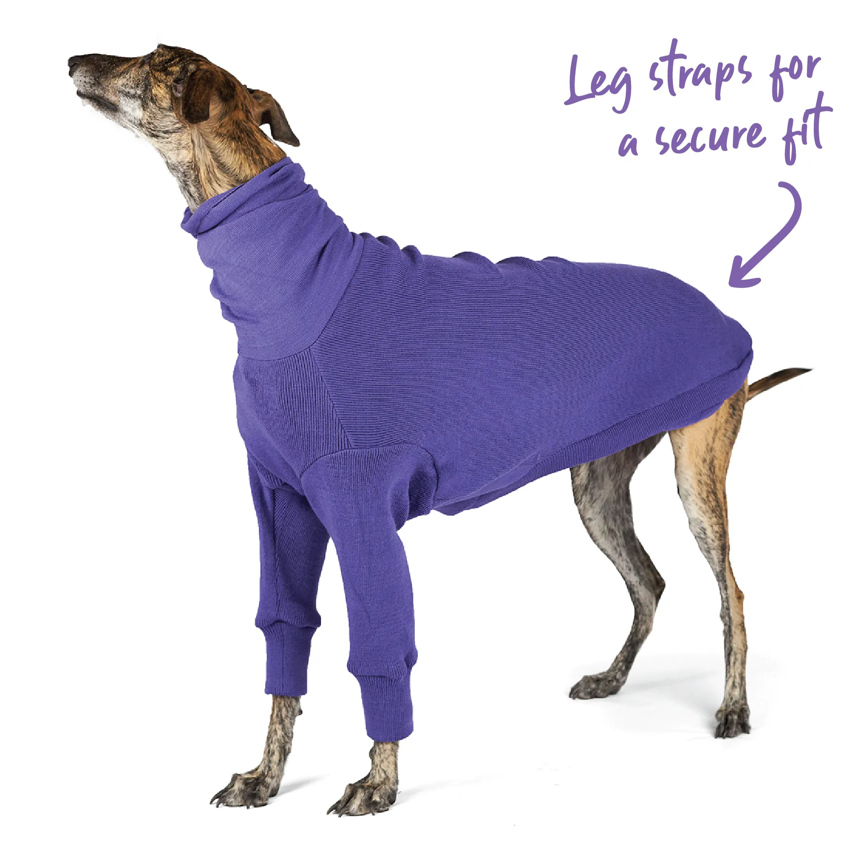 Greyhound Jumper - Sundown