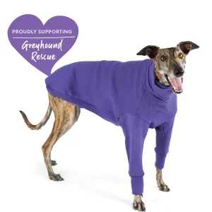 Greyhound Jumper - Sundown