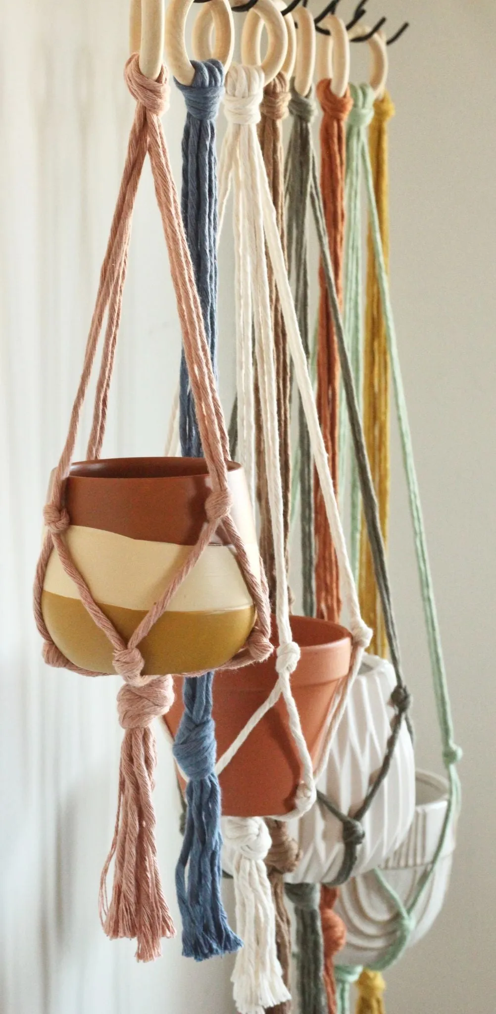 Minimalist Macrame Plant Hanger