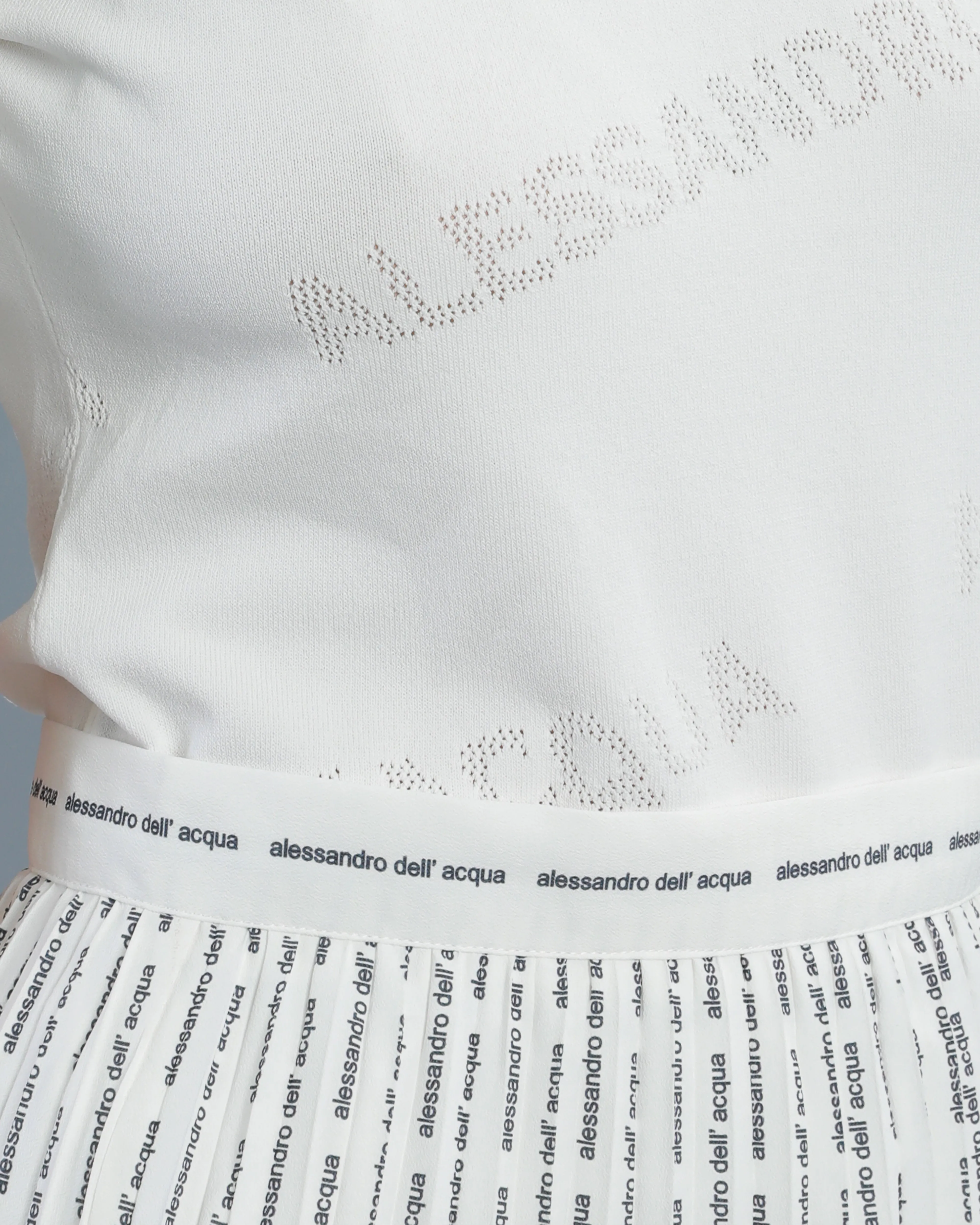 Pinstripe Logo Pleated Skirt