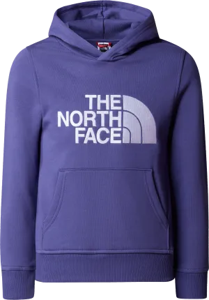 The North Face Boys&#x27; Drew Peak Pull-Over Hoodie Cave Blue | Buy The North Face Boys&#x27; Drew Peak Pull-Over Hoodie Cave Blue here | Outnorth